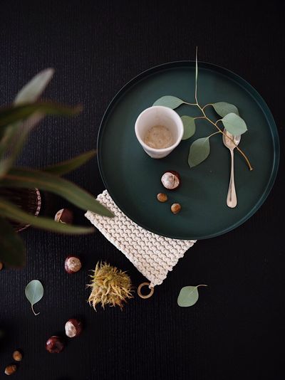 High angle view of flower on table