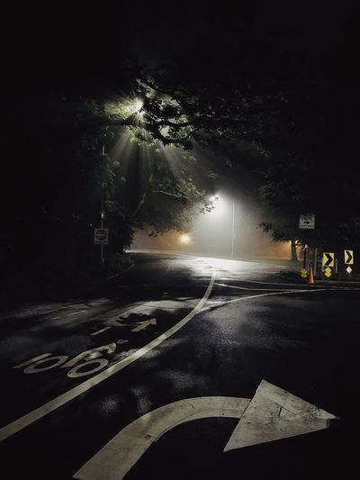 Road by trees at night