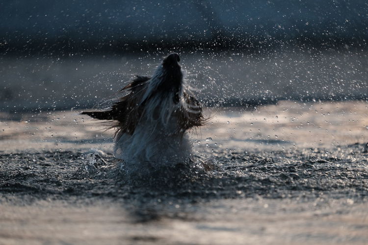 Let's go swimming in hot summer day 