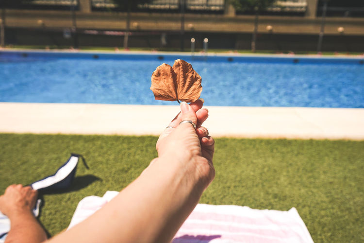 Cropped hand holding dry leaf against swimming pool