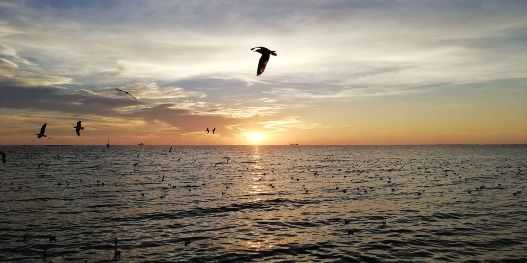 Silhouette of person jumping on beach against sky during sunset