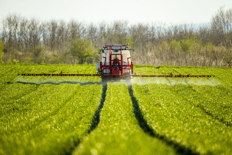 Tractor spraying crops in green farm