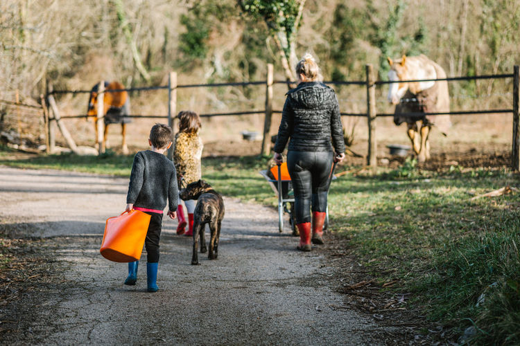 Full body back view of faceless mother with wheelbarrow and kids with plastic bucket walking toward enclosure with cute horses