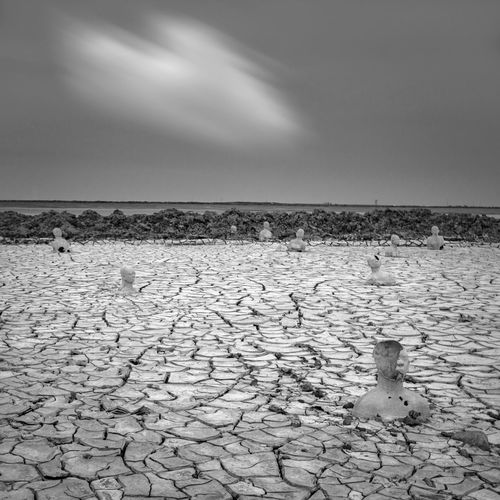 Scenic view of barren landscape against sky