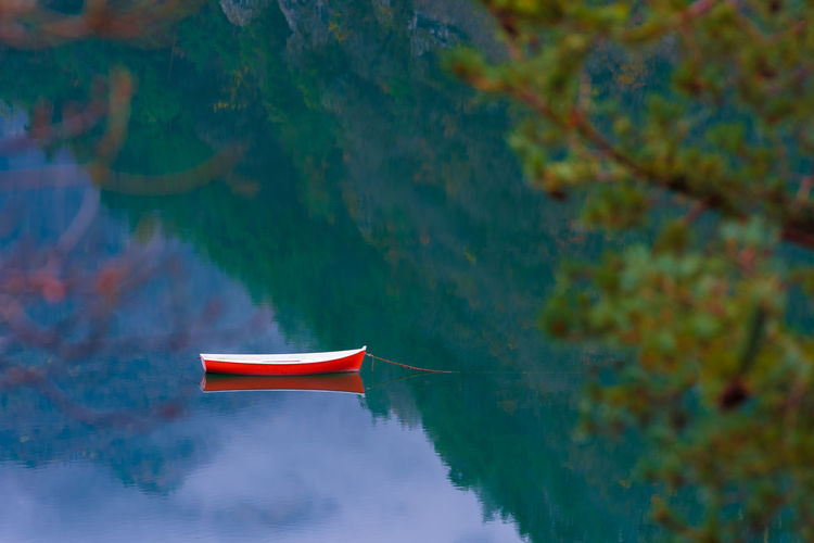 Scenic view of lake against trees