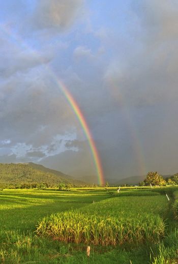 Scenic view of rainbow against sky