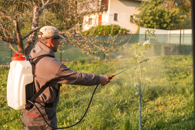 Side view of man spraying insecticides on plant