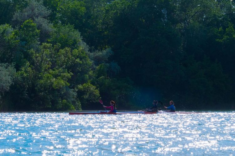 People kayaking in lake against trees