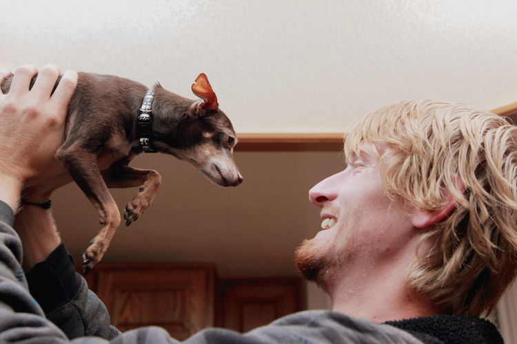 Low angle view of man holding chihuahua dog