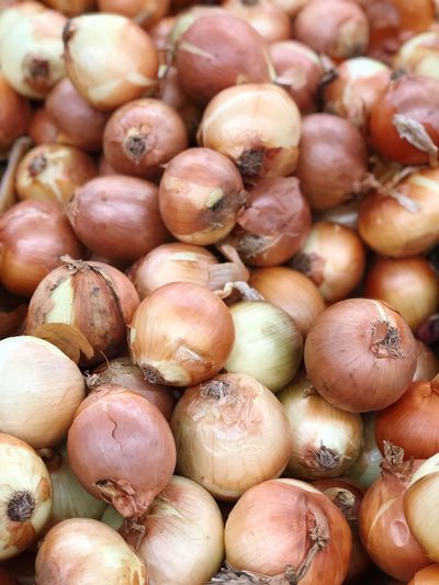 Close up of onions background.