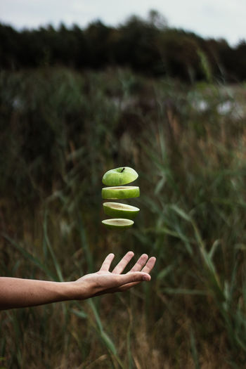 Cropped hand of person playing with chopped granny smith apple on field