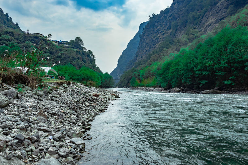 Mountain river flowing at valley with forest at day from flat angle