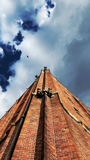 Low angle view of a bird on building against sky