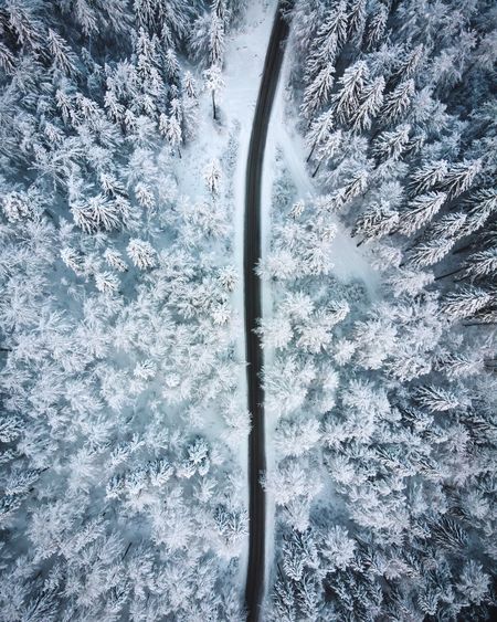 Aerial view of road amidst snow covered trees