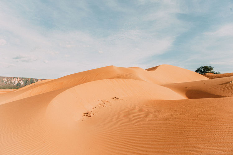 Scenic view of desert against sky