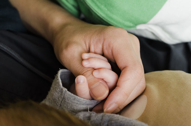 Cropped image of baby and parent holding hands