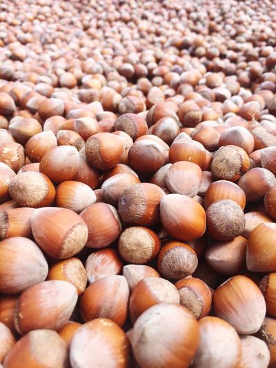 Full frame shot of hazelnuts