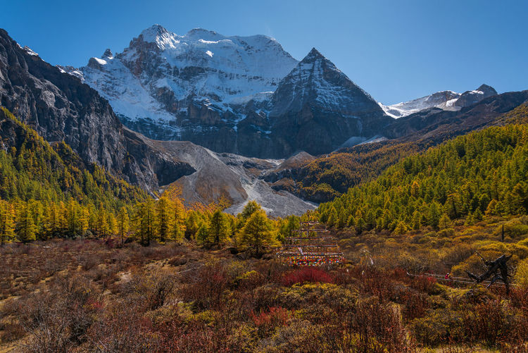 Mountain in yading with autumn leaves