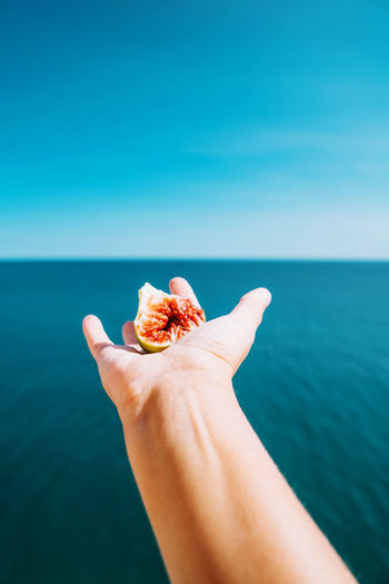Hand holding fig with sea on the background