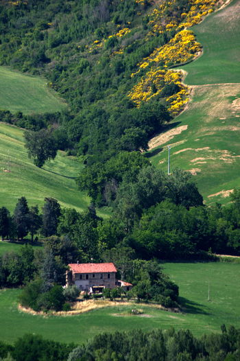 Scenic view of trees and houses on landscape