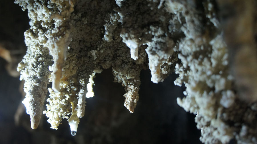 Close-up of stalactites and stalagmites