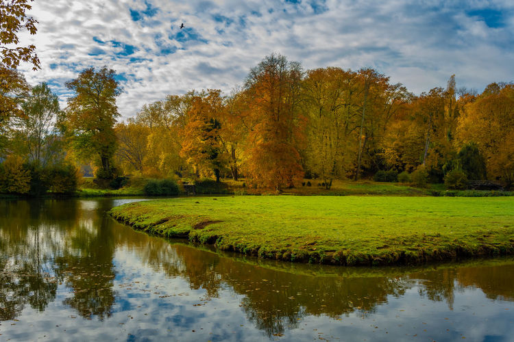 Scenic view of lake by trees against sky