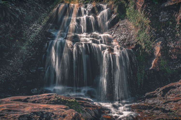 View of waterfall in forest