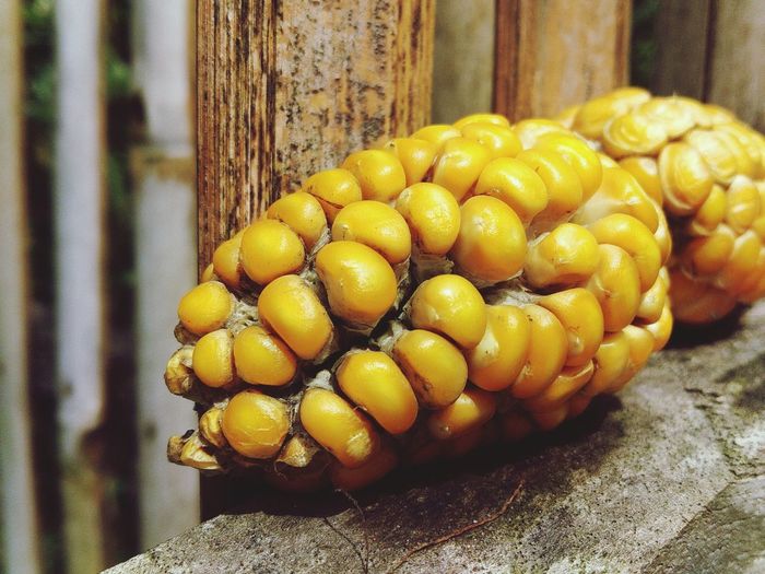 Close-up of corn on wood
