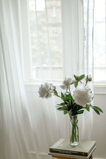 Flower vase against window at home