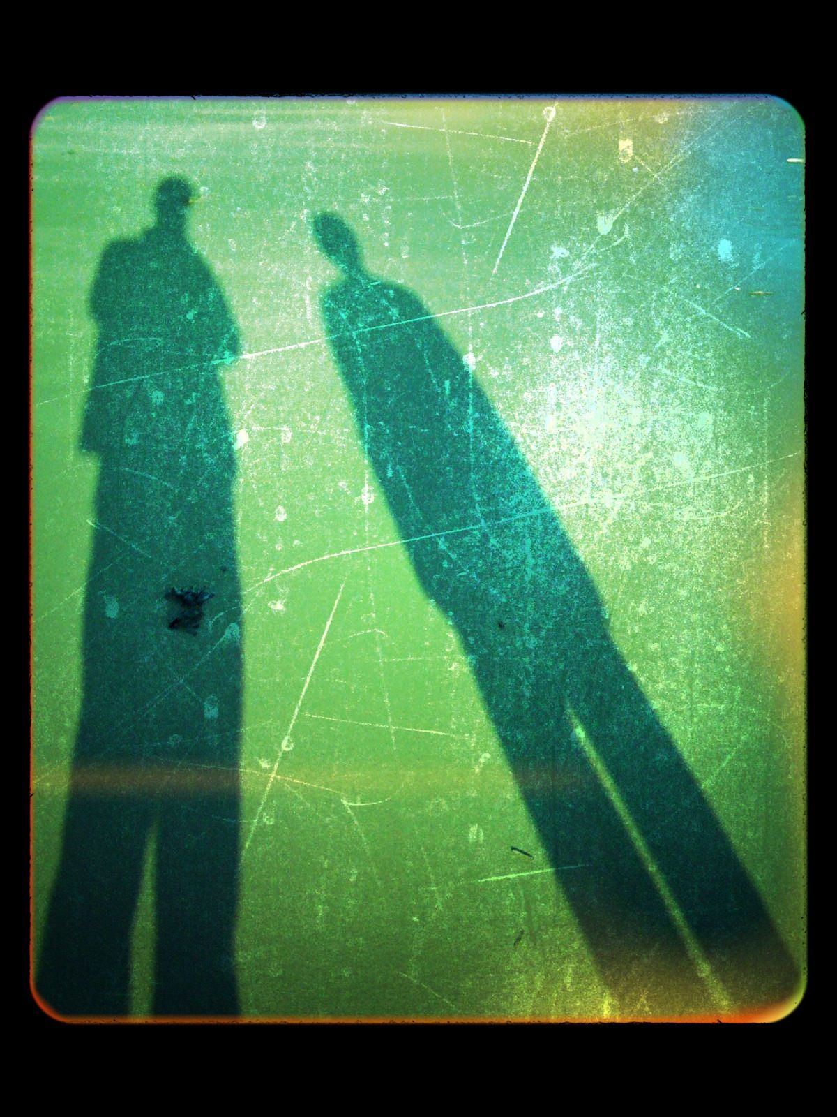 transfer print, auto post production filter, men, shadow, unrecognizable person, high angle view, lifestyles, silhouette, animal themes, leisure activity, focus on shadow, sunlight, indoors, green color, togetherness, day