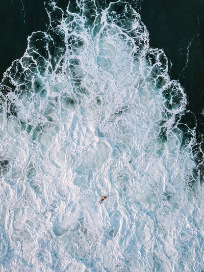 High angle view of jellyfish in sea
