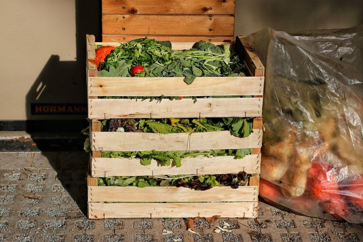 Close-up of box growing in crate