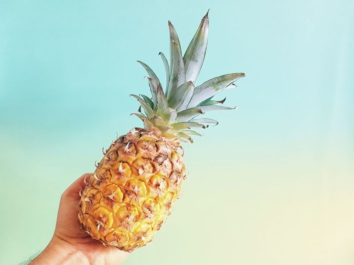 Cropped hand holding pineapple against sky