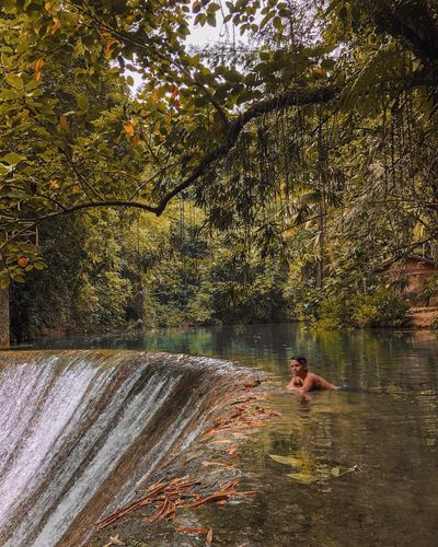 Man lying at waterfall amidst trees in forest