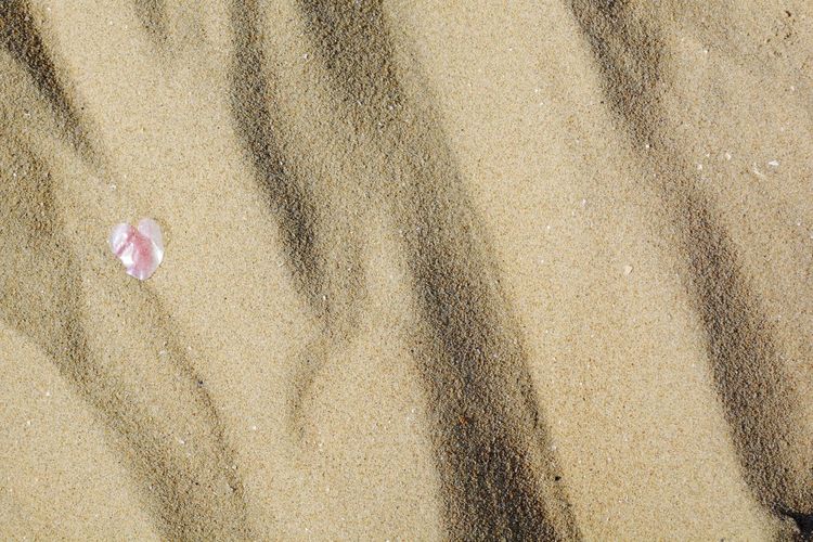 Full frame shot of sand