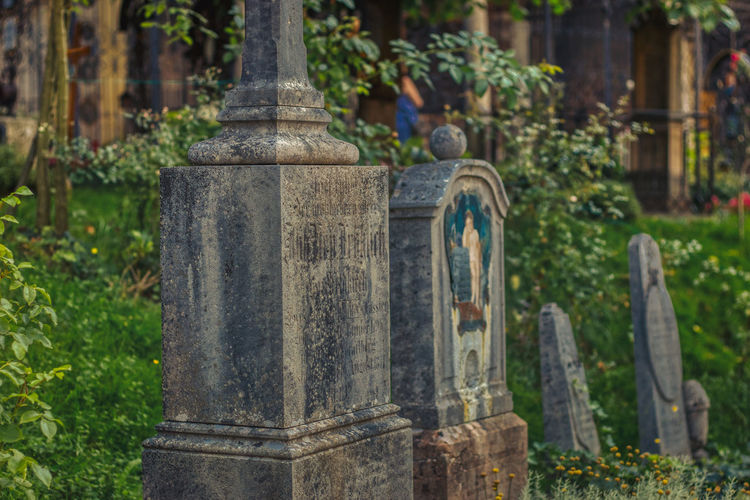 Saint peter's cemeterypetersfriedhof salzburg cemetery with flowers and plants