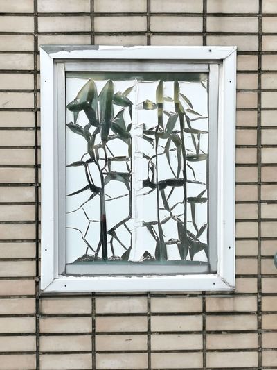 Close-up of closed window on building