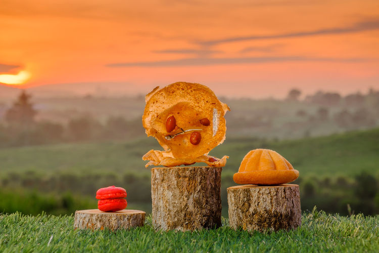 Close-up of pumpkins on field during sunset