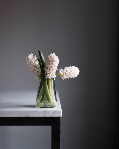 Close-up of white flowers in vase on table