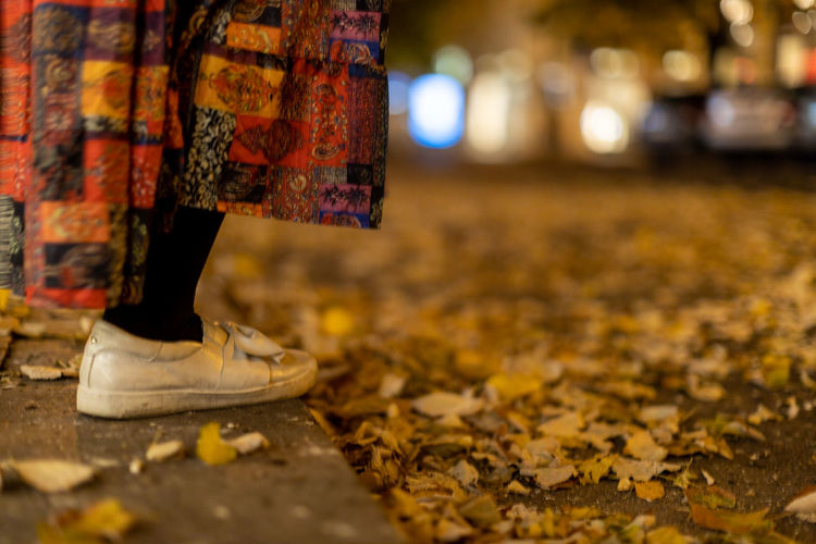 Low section of person standing by illuminated autumn leaves