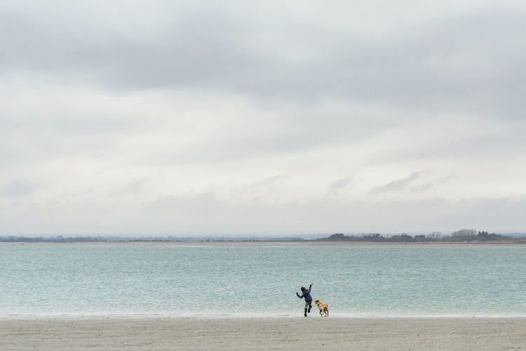 Boy throwing pebbles into the sea with dog on beach