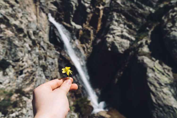 Cropped image of hand holding yellow flower against waterfall