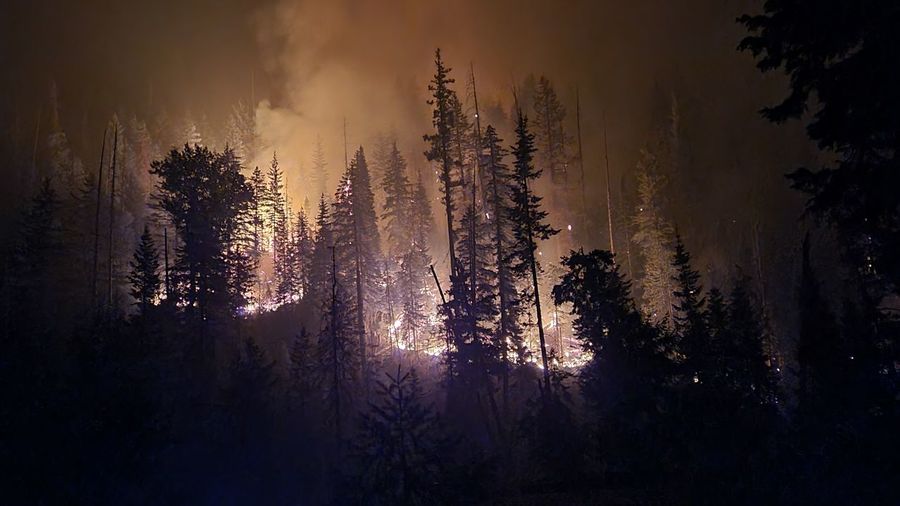 Scenic view of forest fire glowing at night