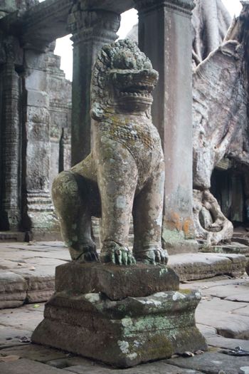 Statue of buddha in temple