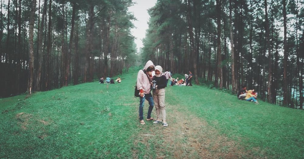 Rear view of people enjoying in forest