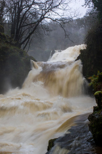 Scenic view of river flowing through rocks