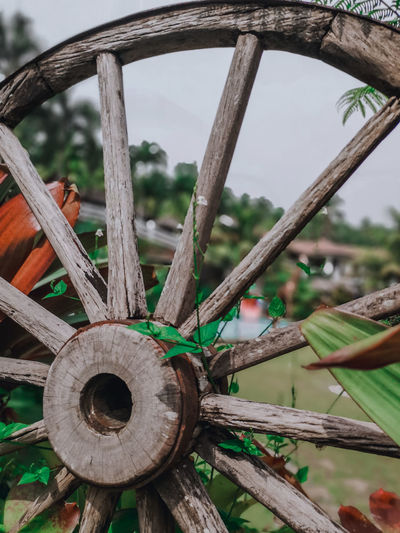 Close-up of rusty wheel by tree
