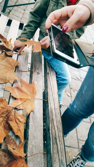 Midsection of woman photographing autumn leaves through mobile phone on bench
