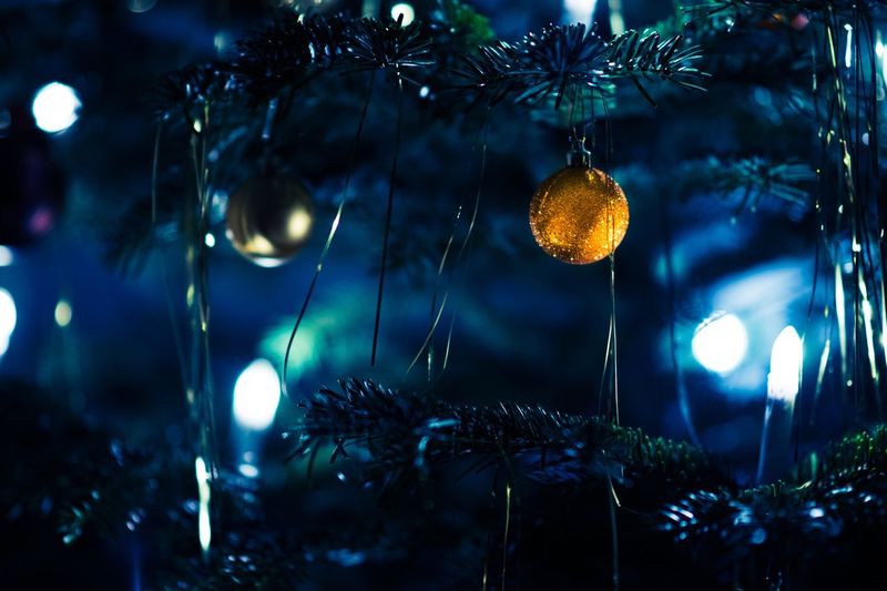 Illuminated christmas tree at night