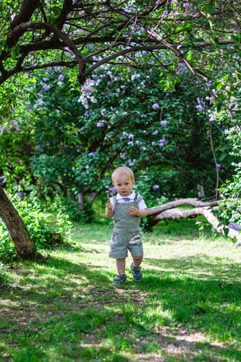 Full length of boy standing in forest